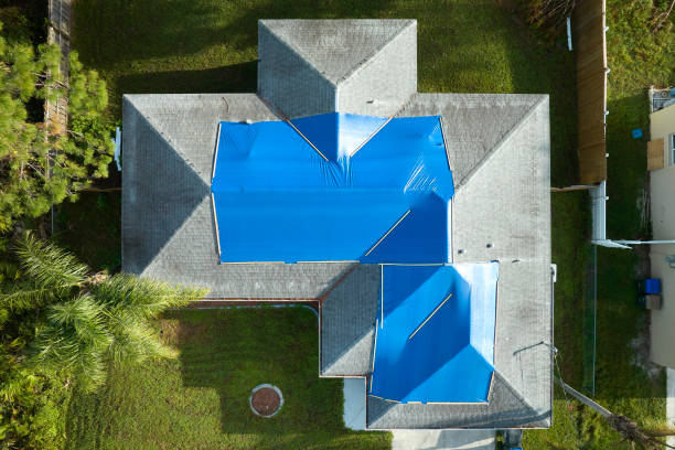 Best Metal Roofing Installation  in Mila Doce, TX
