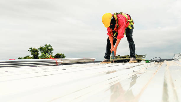 Best Roof Maintenance and Cleaning  in Mila Doce, TX