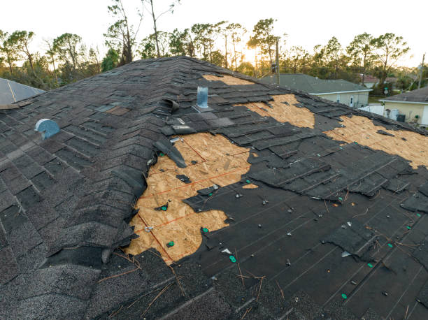 Best Asphalt Shingle Roofing  in Mila Doce, TX